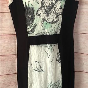 Women’s Picadilly Dress